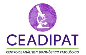 ceadipat.com